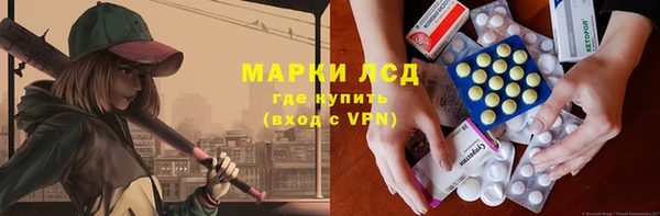 PSILOCYBIN Алзамай