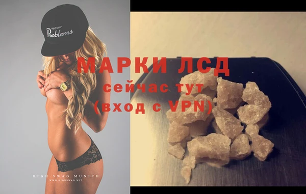 PSILOCYBIN Алзамай