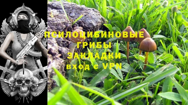 PSILOCYBIN Алзамай