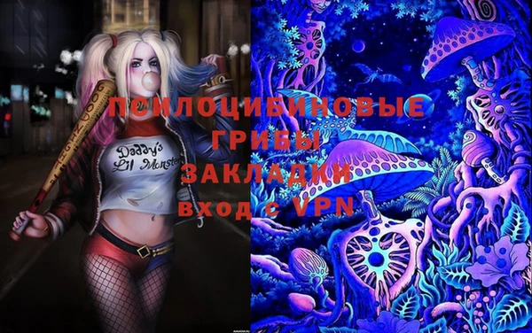 молекула духа Алексин