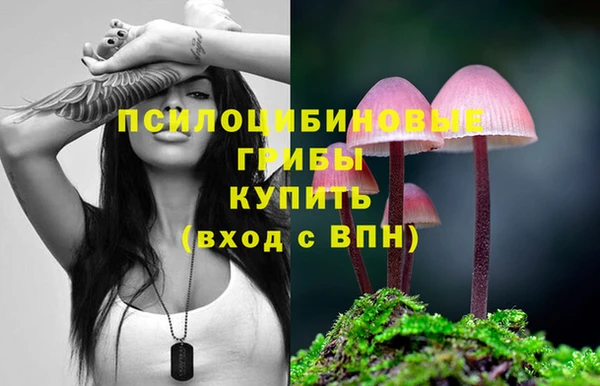 молекула духа Алексин