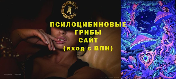 PSILOCYBIN Алзамай