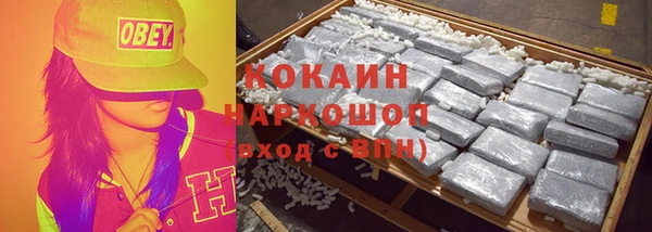 молекула духа Алексин