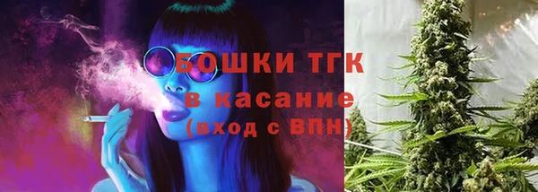 гидра Алексеевка
