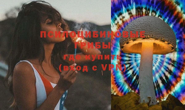 гидра Алексеевка